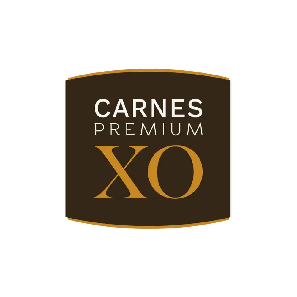 Servicios de limpieza profesional y mantenimiento en México – SILYMPSA, especialistas en higiene, desinfección y mantenimiento de espacios.